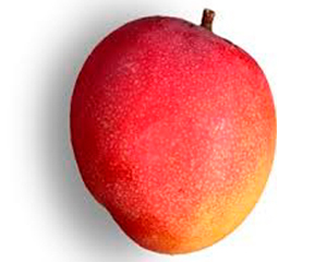 Peruvian Mangoes Haden